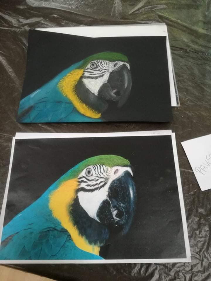 122825668_3358801077546674_5467470218102253289_n