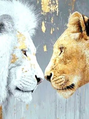 641332918_25813439964989465_5587417568069458305_n (1)