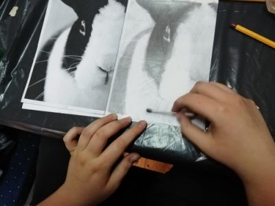 jobb-agyfeltekes-rajzolas-09